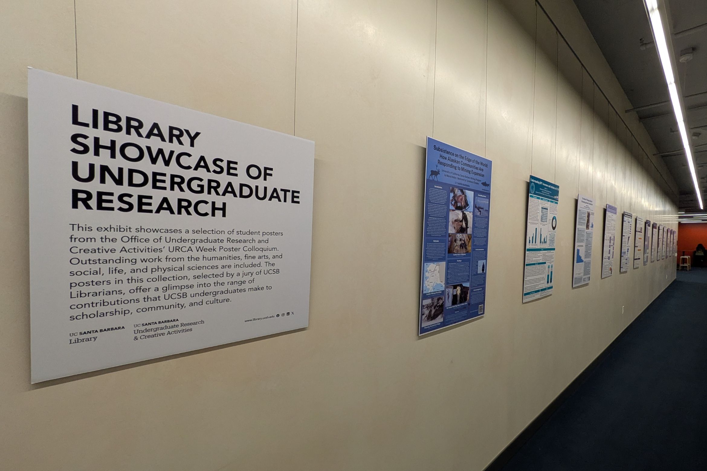Image of student poster displayed at the library