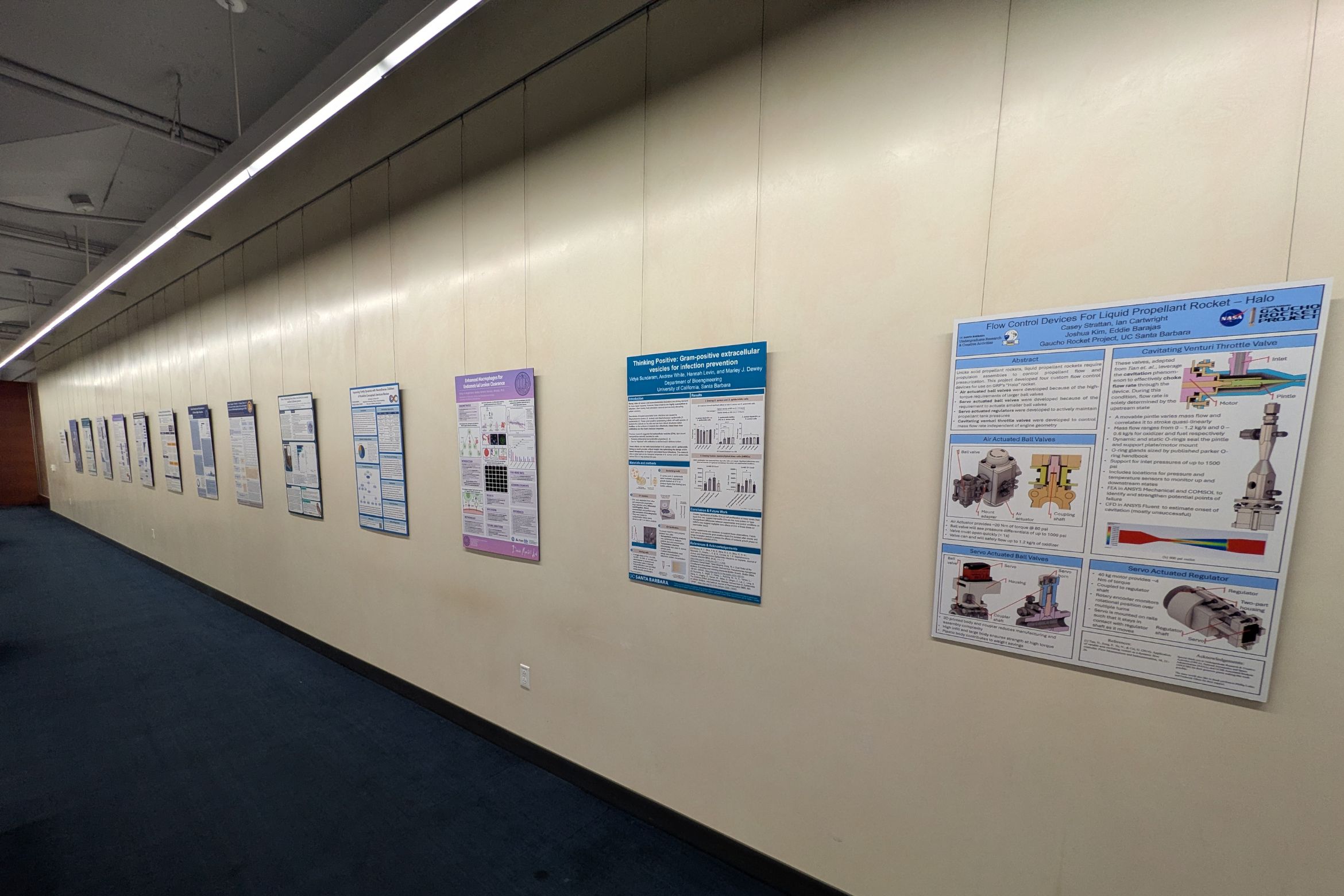 Image of student poster displayed at the library
