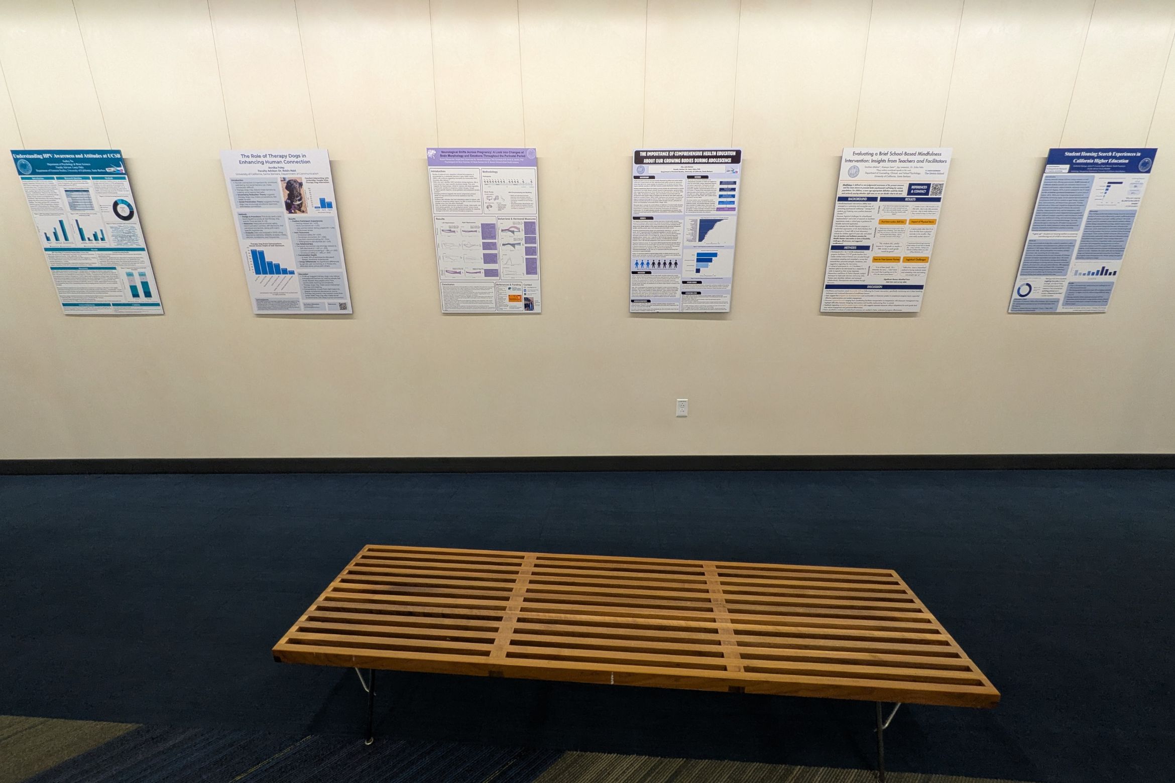 Image of student poster displayed at the library