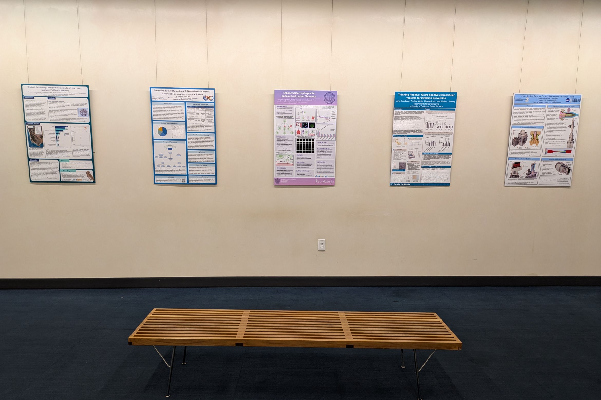 Image of student poster displayed at the library