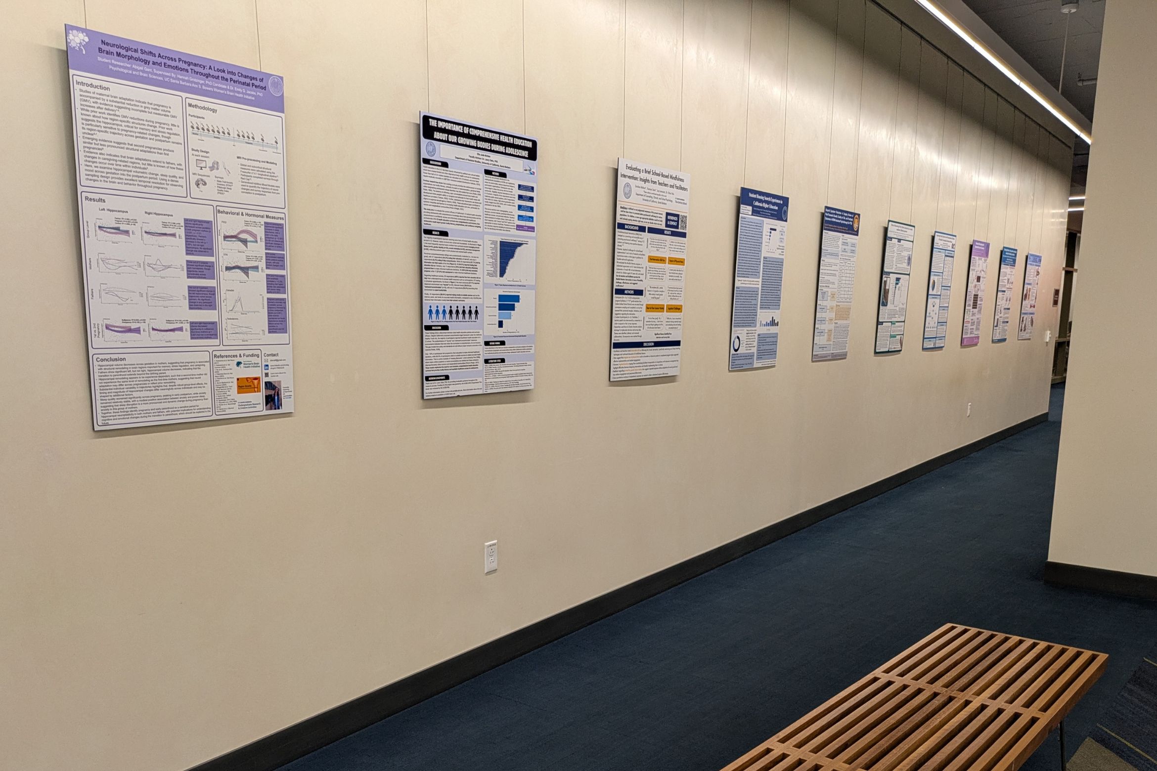Image of student poster displayed at the library